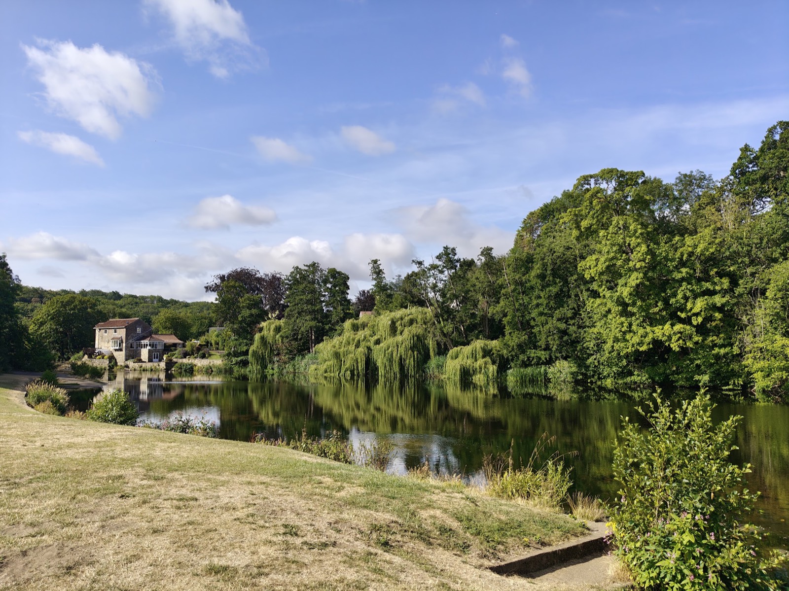 The River Nidd at Knaresborough Lido, with willow trees and open grass